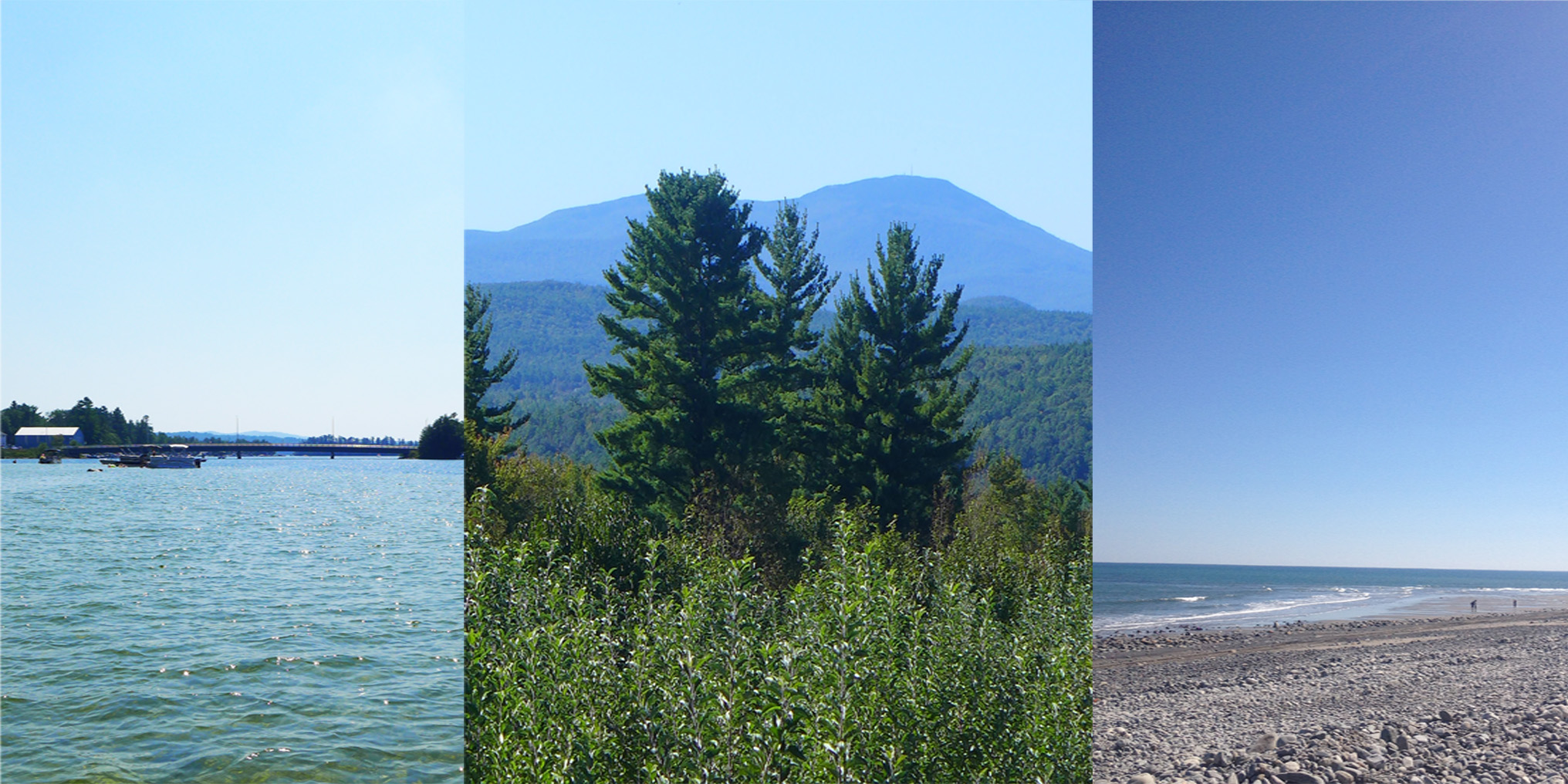 travel DUVALTEAM Real Estate