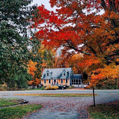 khalid-alotibi-WG_8L23ELYY-unsplash